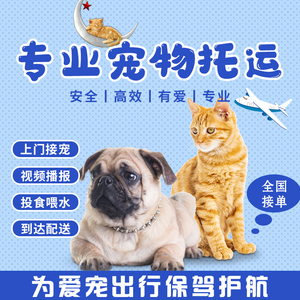 郑州宠物托运狗狗猫咪宠物托运检疫办理航空火车宠物专车宠物包车