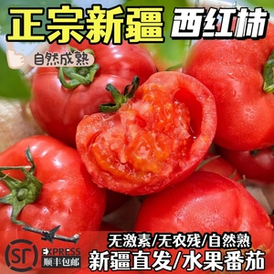 新疆普罗旺斯西红柿霍尔果柿草莓番茄水果有籽沙瓤宝宝孕妇自然熟