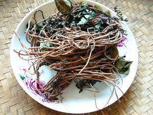 贵州中药材苕叶细辛 盘山草 山薯 大叶马蹄香 土细辛草药500g包邮