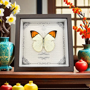真蝴蝶标本相框木质装饰画DIY复古欧美风摆台家居装饰生日礼物