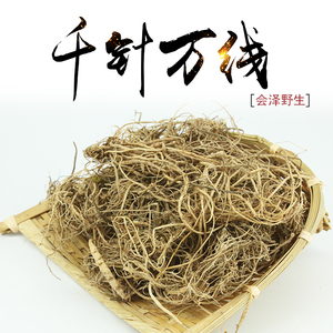 云南特产会泽纯野生千针万线草胖药炖排骨鸡煲汤干货100g两件起拍