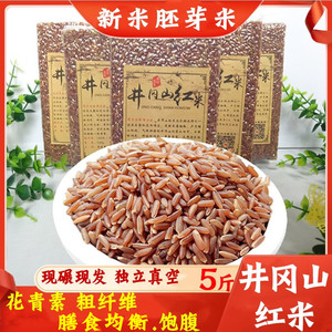 新米井冈山红米农家红米饭5斤红大米粳米杂粮食 血稻米胚芽红香米