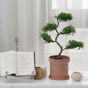 北欧办公室植物五层塔松盆景客厅办公室盆栽放轻松植物室内花卉