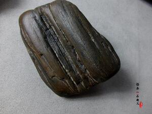 木化玉原石观赏石奇石头天然296克9.5厘米水冲木化石深硅化木