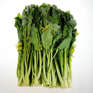 多子多福增城迟菜心种子 中脚菜心甜菜心 秋播蔬菜种子原装包邮