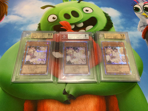 游戏王灰流丽红碎