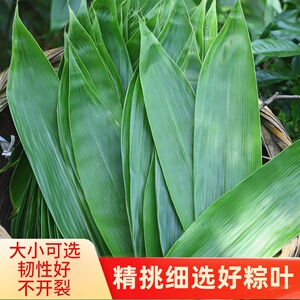 00209人付款淘宝湛江特产鲜肉粽子蛤蒌叶绿豆蛋黄叉烧大粽早餐广式