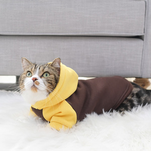 猫咪衣服秋冬装可爱防掉毛美短英短蓝猫奶猫小猫宠物秋季冬天卫衣