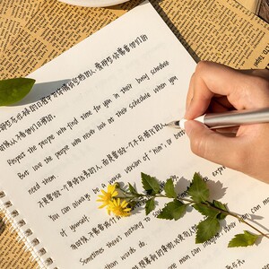 英语字帖怪兽奶酪体中英文双写练字初中高中生网红鲸落体硬笔字帖