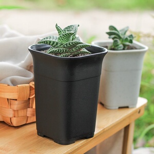 万象盆方形大口径玉露仙人球多肉花盆小塑料加厚十二卷老桩高盆