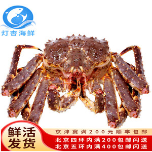 鲜活帝王蟹阿拉斯加帝皇蟹长脚蟹活蟹蟹腿皇帝蟹椰子蟹3.5-4斤/只