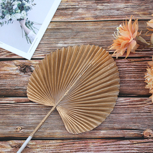 仿真小蒲扇塑料花婚庆路引花材婚礼堂背景装饰假花芭蕉扇创意花艺