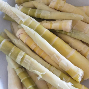 千岛湖水竹笋小竹笋野生新鲜清水笋嫩笋尖1500g袋装当季绿色野笋