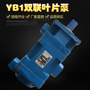 双联叶片泵YB1-16/6 YB1-10/10 YB1-25/16 YB1-63/25液压齿轮油泵