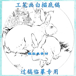 工笔画底稿白描线描实物兔子打印作业练习稿动物类