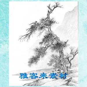 山水树石画稿工笔画白描底稿实物白纸线描画稿30