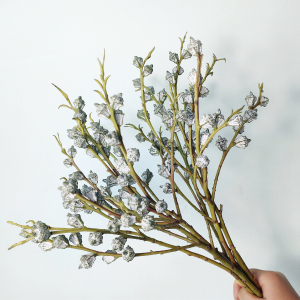 云南昆明新鲜尤加利果小白果装饰天然环保diy配花高贵复古花束