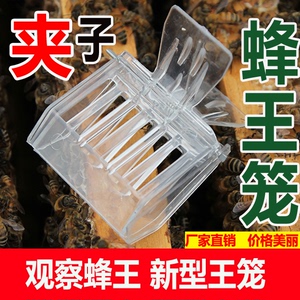 蜂王笼养蜂专业工具蜜蜂王笼塑料夹子移王分箱囚王笼蜂具包邮