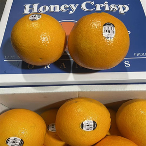 美国3107黑标橙子脐橙大果整箱新鲜水果商用橙当季进口18斤甜橙