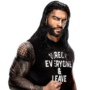 代烧白酒淘宝wwe roman reigns 罗曼雷恩斯灰色背心罗门伦斯马甲 罗
