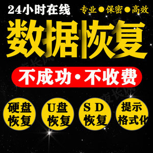 电脑移动硬盘数据恢复u盘内存sd卡维修服务照片视频文件修复软件