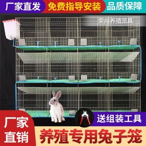 包邮兔子笼自动清粪养殖场专用特大号大型双层新式兔笼子母笼兔笼