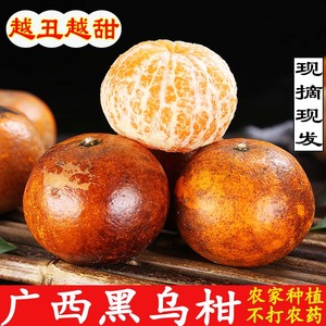 乌柑黑皮沃柑当季新鲜水果柑橘9斤橙子广西武鸣皇帝柑丑橘沙糖桔