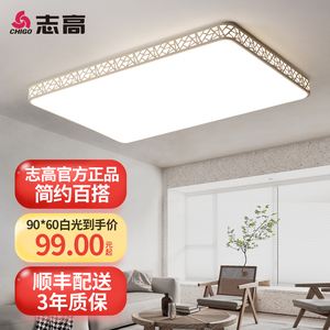 志高led灯