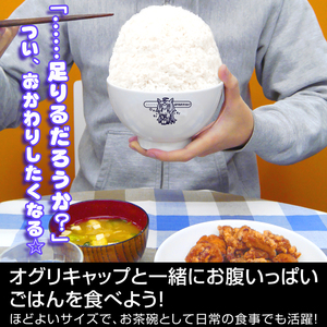 现货日本正版cospa 赛马娘 小栗帽 陶瓷饭碗干饭人 美浓烧可微波