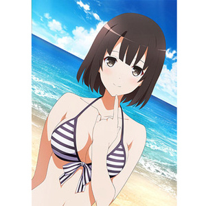 现货 路人女主的养成方法 加藤惠 水着泳装周边b2挂画日版psv特典