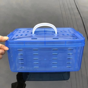 5斤透明蓝色塑料杨梅篮筐东魁航空箱收纳盒水果蛋壳礼品包装批发