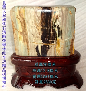 北票天然奇石观赏石化石树化玉树化石清晰带绿木纹精品摆件5963