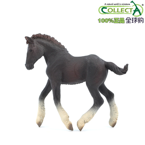英国CollectA我你他农场仿真动物模型马系列88583夏尔小马-黑色