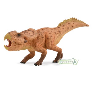 collecta 2020新款恐龙模型玩具 原角龙活动嘴巴88874 全新现货