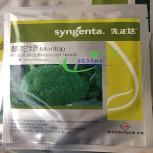 进口蔬菜种子 先正达 蔓陀绿 西兰花种子 耐抽薹 中早熟品种 10g