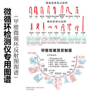 xw880检测仪挂图讲解说明书 甲襞微循环反射图微血流紊乱示意图