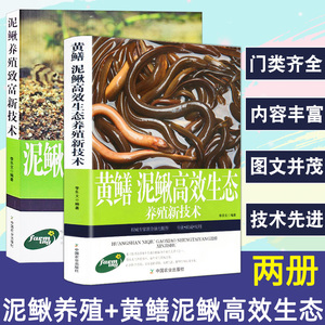 全2册黄鳝泥鳅高效生态养殖新技术泥鳅养殖致富疾病鉴别诊断及治疗全书黄鳝水产高效健康养殖兽医实用手册繁殖饲养防治病技术书籍