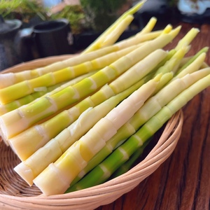 竹笋新鲜现挖野菜野生小竹笋农家清水笋水煮笋尖嫩冬笋5斤 包邮