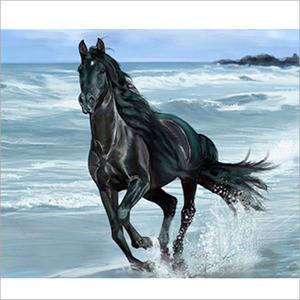 满钻马5d魔方圆钻石画动物系列黑马新款客厅贴钻十字绣骏马奔驰