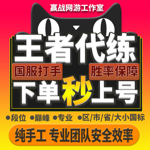 王者荣耀代练打排位上分带打玩巅峰赛刷战力英雄【百星战神代练】