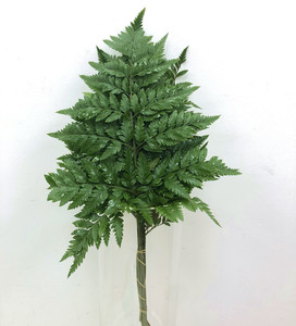 高山羊齿经典绿叶搭配 芒叶家庭办公室婚庆插花 北京同城鲜花速递