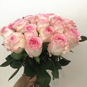 a级洛神大花朵玫瑰 粉色仙花求婚表白生日礼物 水培家庭插花速递