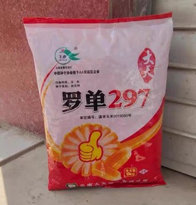 云南正宗正版 飞燕牌 罗单297 罗单299 罗单297 玉米种子 2kg包邮