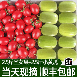 玉女瓜圣女果新鲜水果黄瓜5斤小番茄西红柿子拇指千禧生吃自然熟