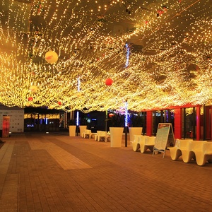 串串灯新年变色