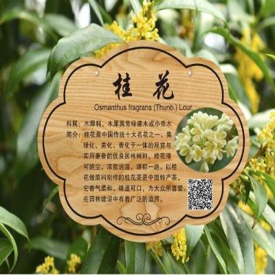 日本购挂在树上的牌子塑料植树亚克力定制树牌卡悬挂挂树公园草坪