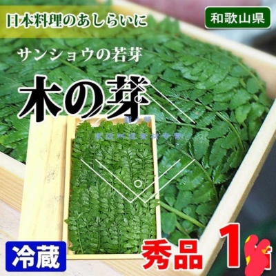木之芽