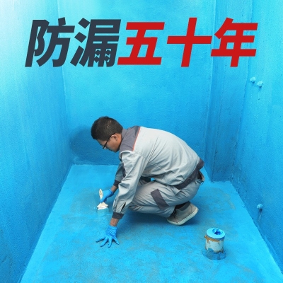 卫生间防水漆