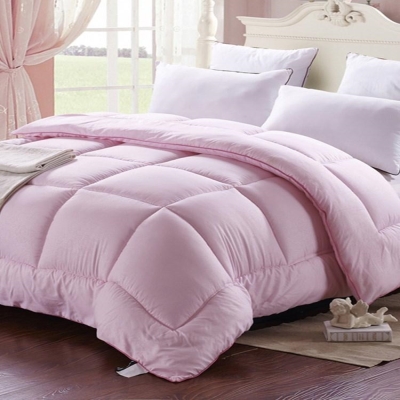 五2秋被一1棉被1.5米单人学生八3芯加厚5被被子保暖斤冬被4.春秋