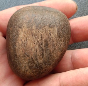 黑龙江省特有草化玉桫椤蕨类植物化石桫椤玉手把件原石102